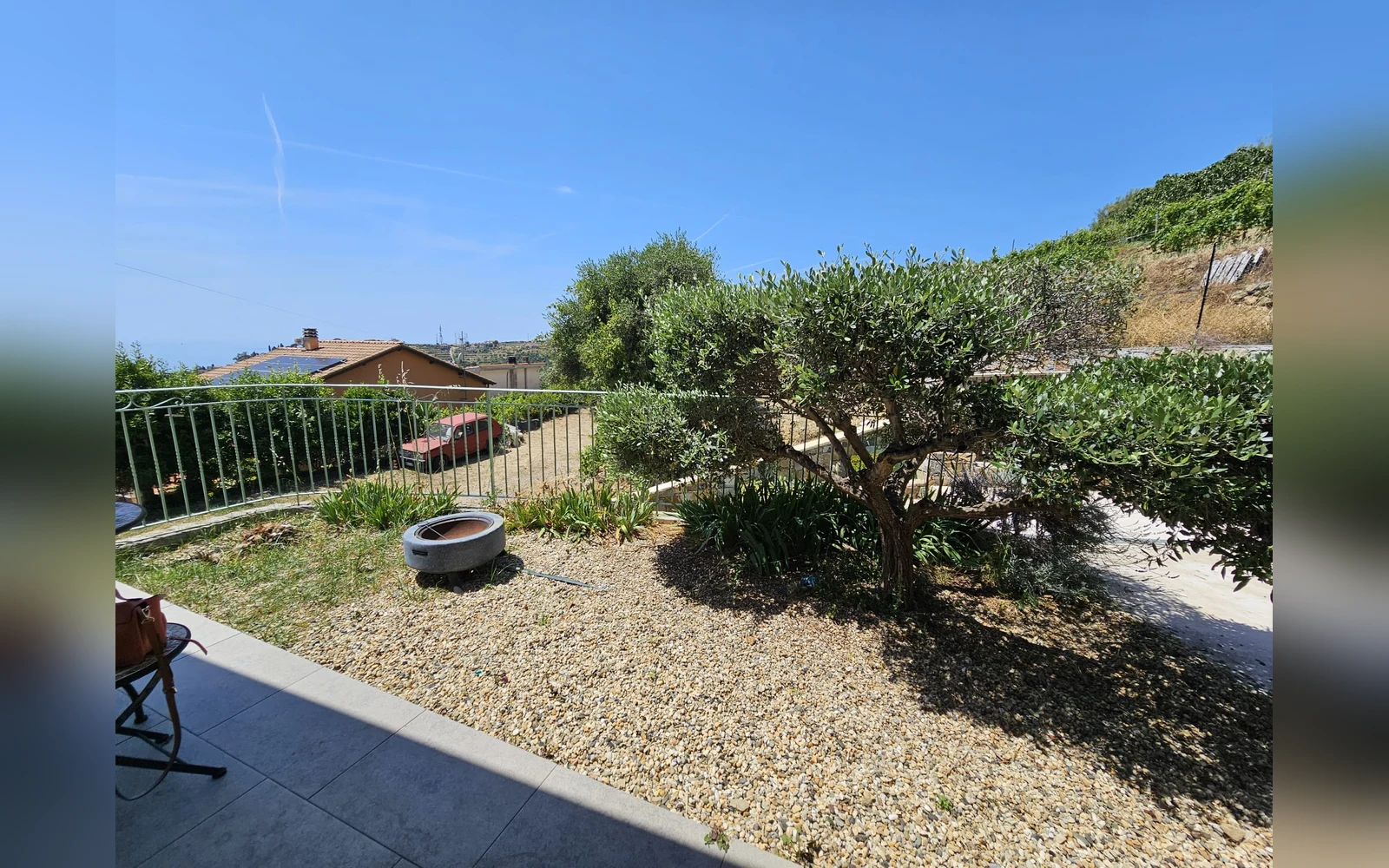 Giardino con ulivo — Casa Montenero, Bordighera (località Montenero) (foto 10)