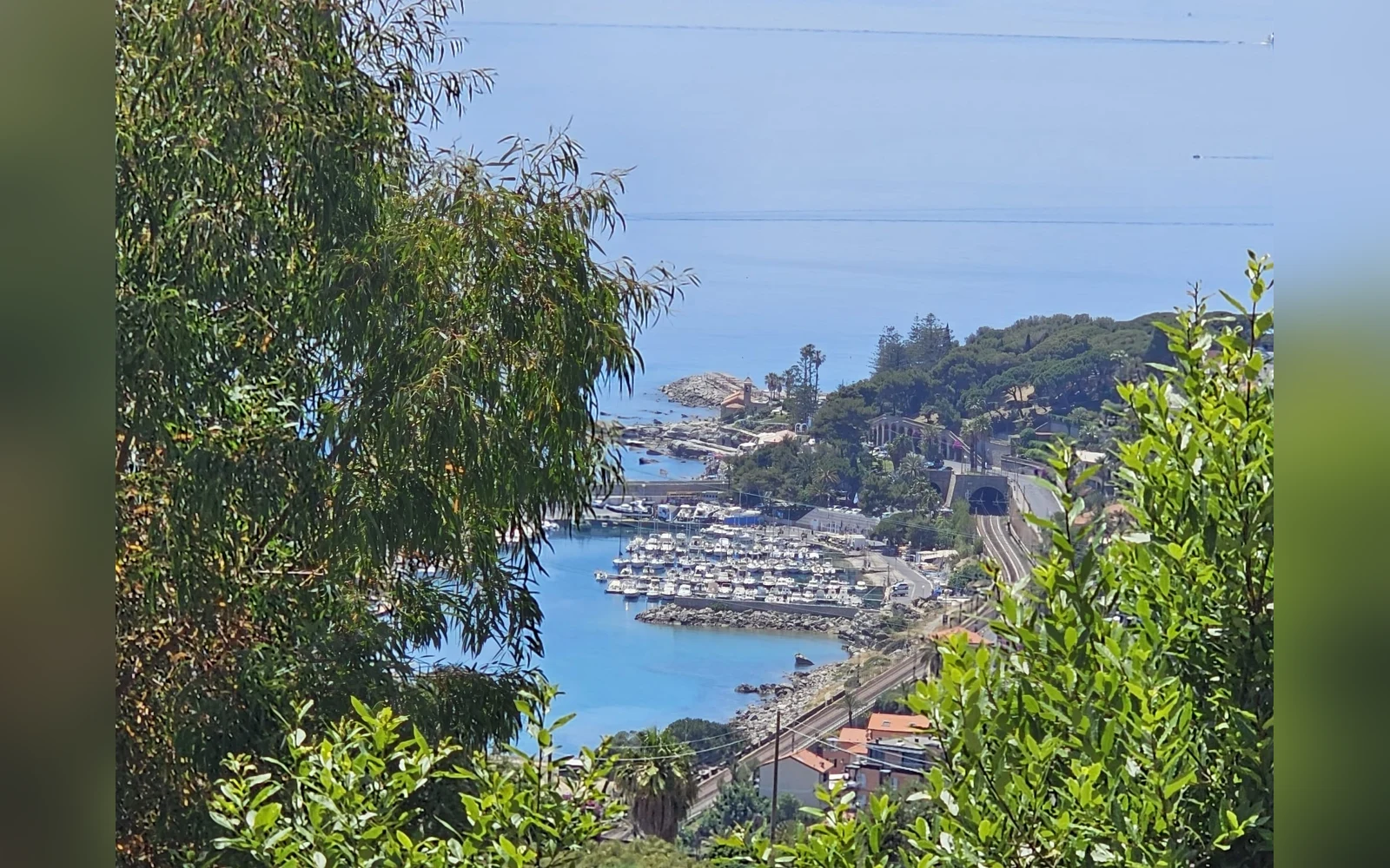 Vista sul porto e sulla costa — Casa Montenero, Bordighera (località Montenero) (foto 15)
