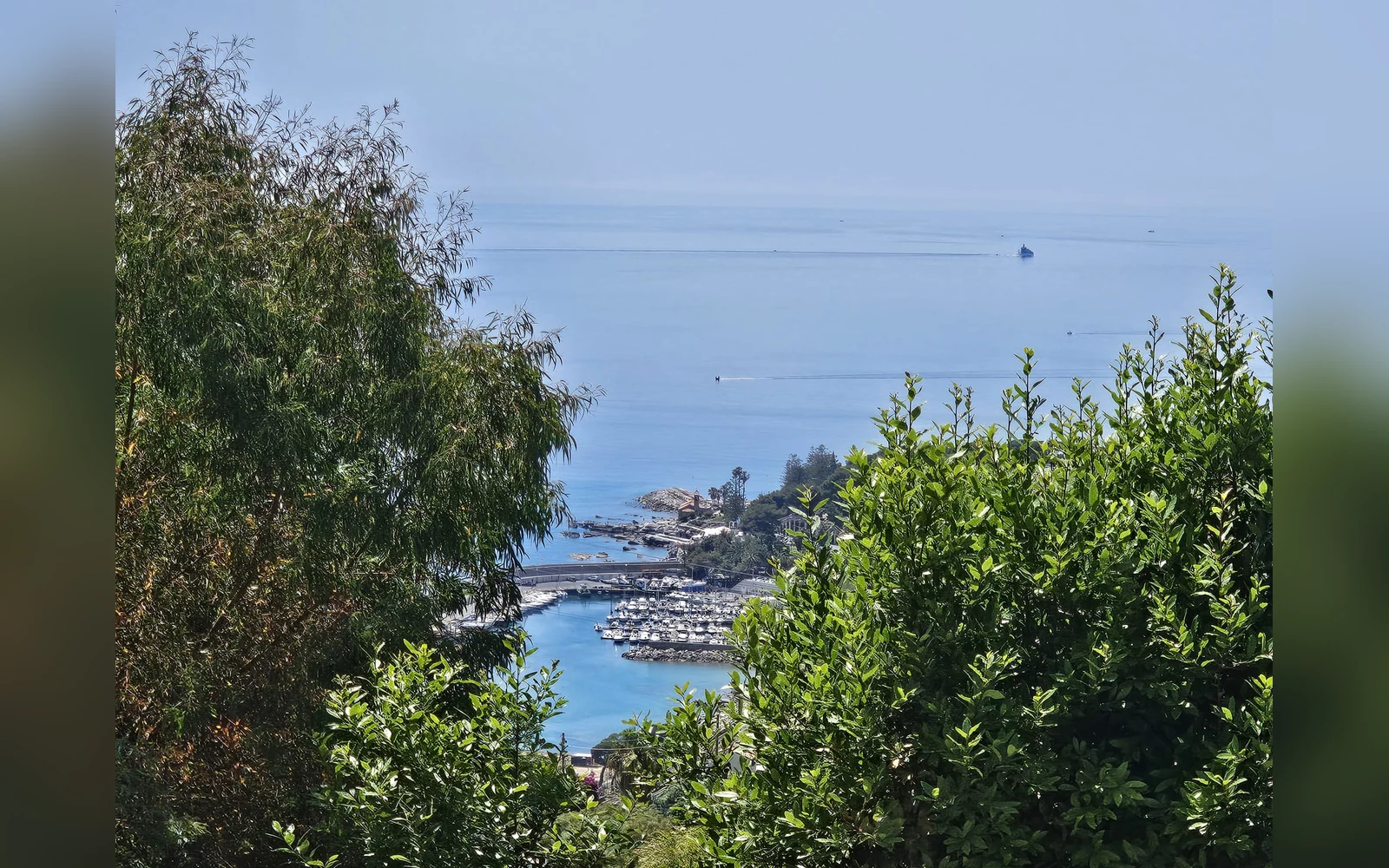Vista sul mare dalla proprietà — Casa Montenero, Bordighera (località Montenero) (foto 19)